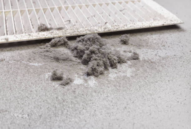Best Affordable Air Duct Cleaning  in Powell, AL