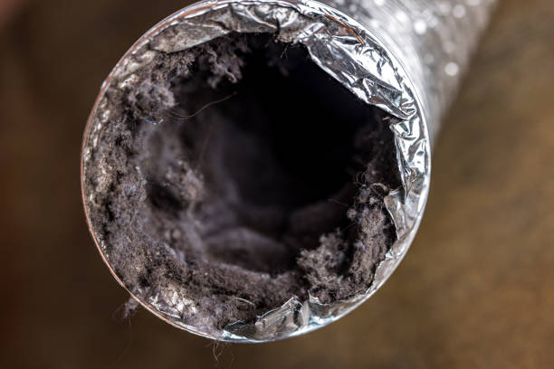 Best Ductwork Cleaning Services  in Powell, AL