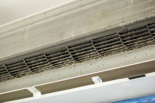 Best HVAC Air Duct Cleaning  in Powell, AL